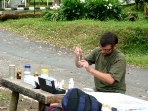 Freddy testing for pesticides in river water collected