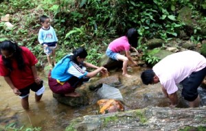 biologival test clean river