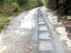 zf18aug12 roads done