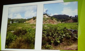 photo site 3