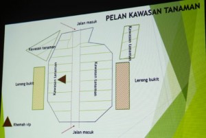 reforestation site plan