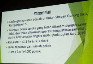 reforestattion site