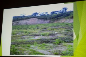 site photo 2