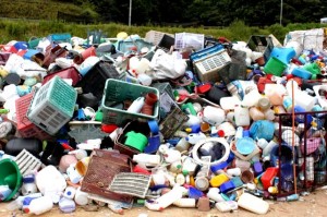 Recyclable plastic collected from all over Camerons. Note that some of these are from households