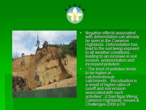 Slide5