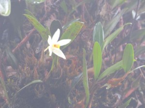 IMG_1936