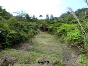 trail 3 c