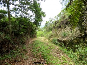 trail 3 e