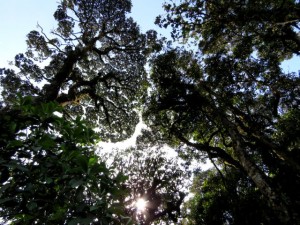 IMG_4017