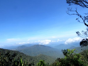IMG_4024