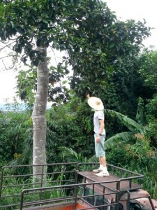 IMG-20160622-WA0002