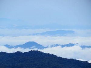 img_1305