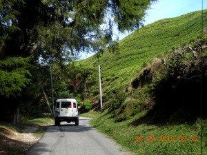 DSCN2604