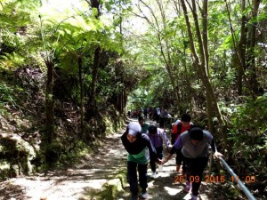 DSCN2639